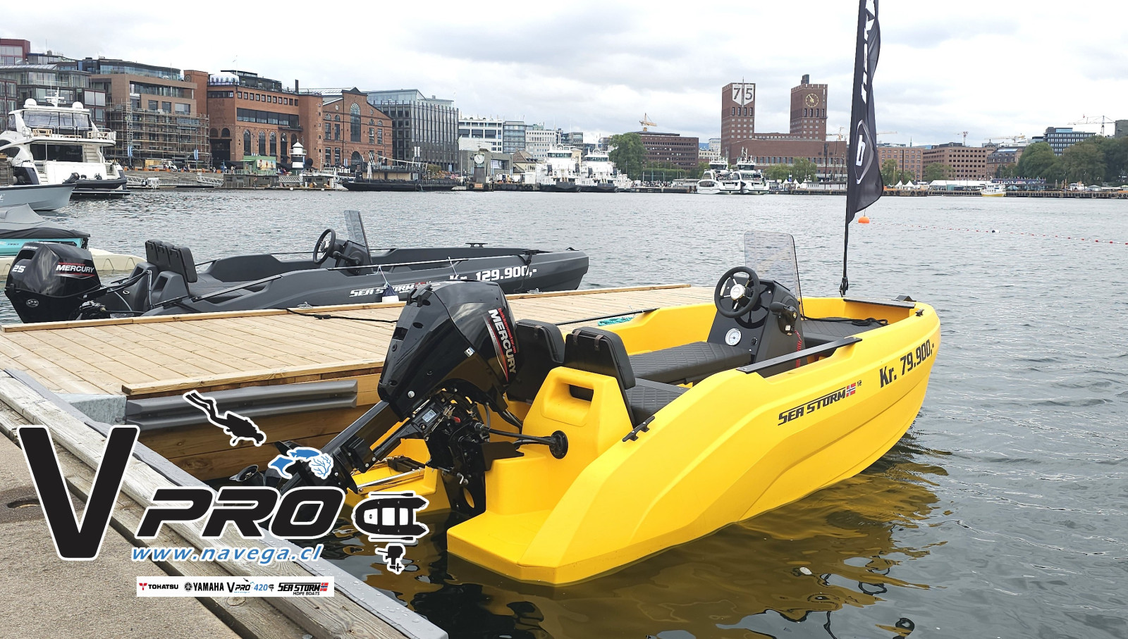 Lancha HDPE Seastorm 12" - 3.66m eslora con motor efi 4t 20HP y carro náutico